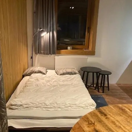 Harrachov 702 Apartment Room photo